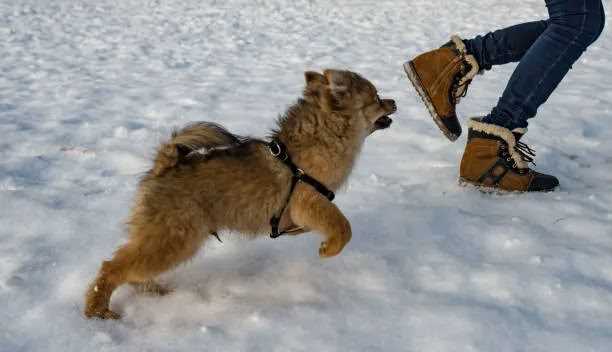 Какой маршрут охватывает главные достопримечательности?